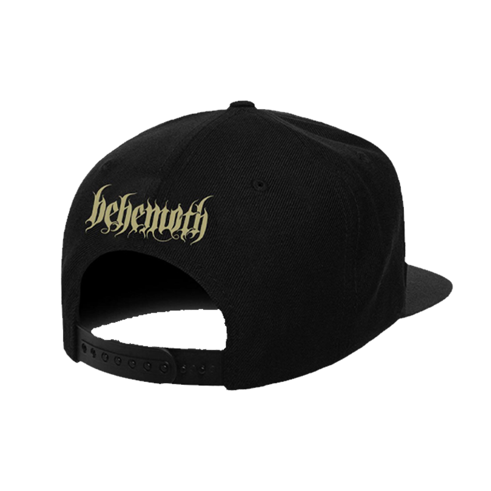 Sigil Snapback Hat