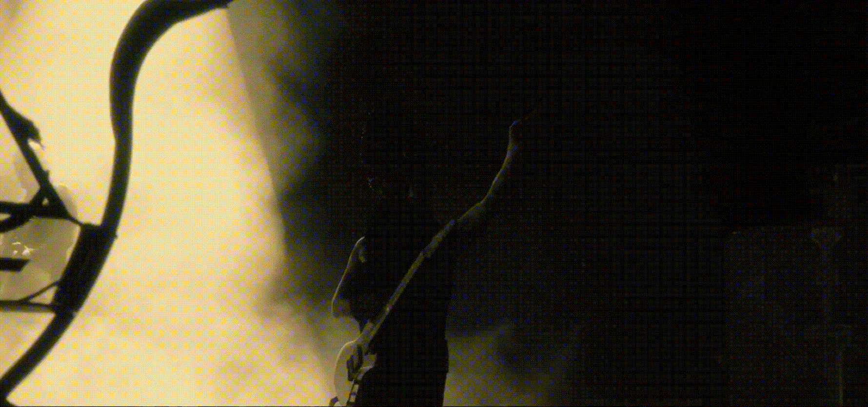 Behemoth Official Store
